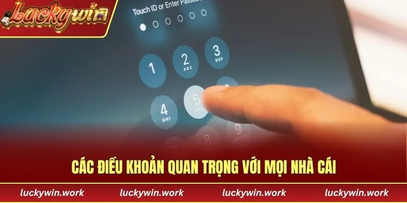Các điều khoản quan trọng với mọi nhà cái