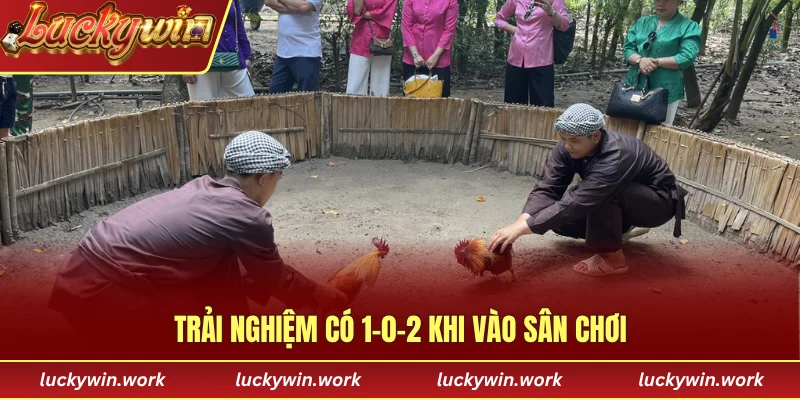 Trải nghiệm có 1-0-2 khi vào sân chơi